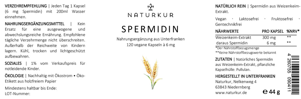 Spermidin Kapseln